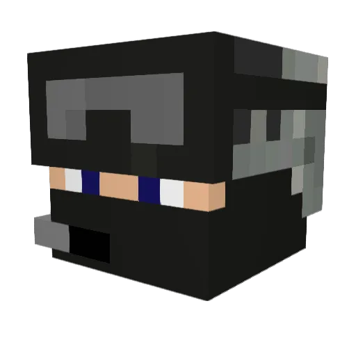 captaingooba Minecraft avatar head, 3D render