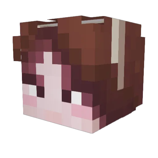 captainmorrigan Minecraft avatar head, 3D render