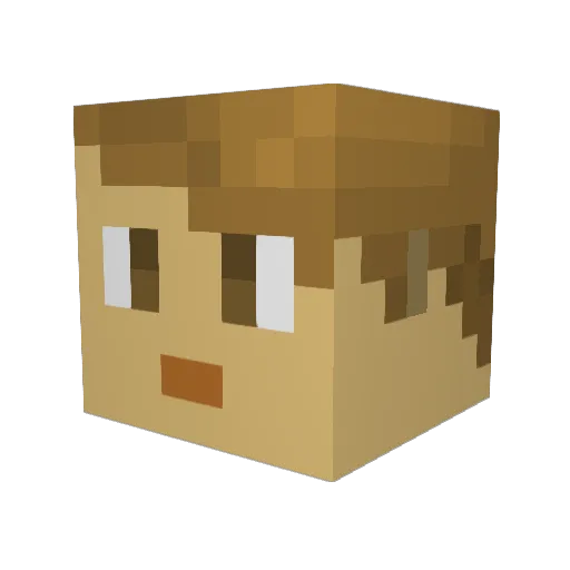 captainpooplord Minecraft avatar head, 3D render