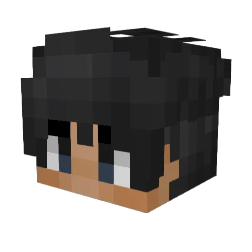 captainstannyboy Minecraft avatar head, 3D render