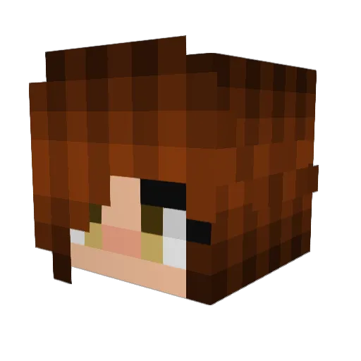 captainturtle5 Minecraft avatar head, 3D render
