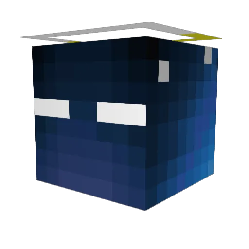 captin_puffy Minecraft avatar head, 3D render