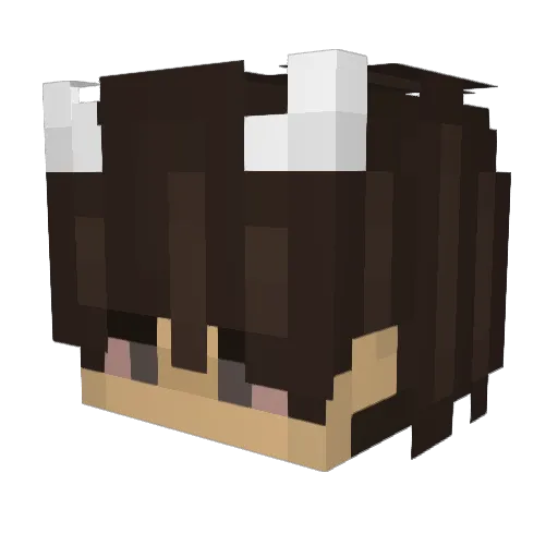 captind Minecraft avatar head, 3D render