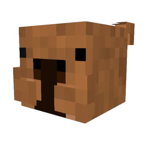 capybara12342 Minecraft avatar head, 3D render
