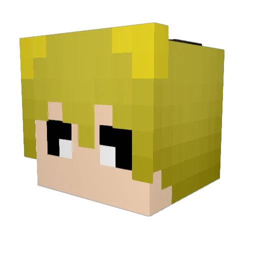 capybara2648 Minecraft avatar head, 3D render