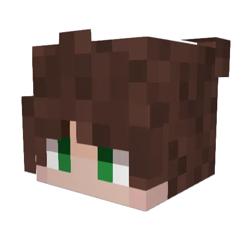 car1 Minecraft avatar head, 3D render
