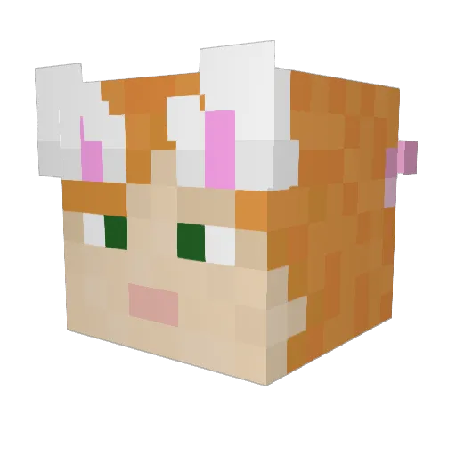 car1o Minecraft avatar head, 3D render