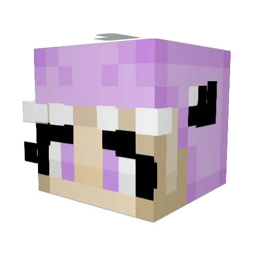 cara_28 Minecraft avatar head, 3D render