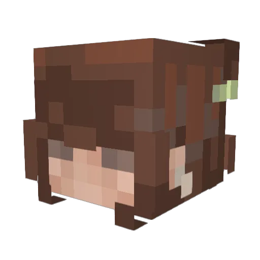 caracaps Minecraft avatar head, 3D render