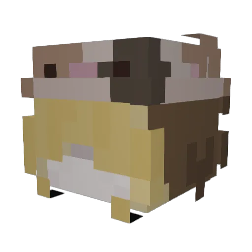 caramelapplez Minecraft avatar head, 3D render