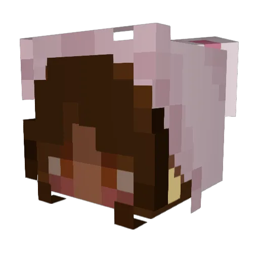 caramelcrunch25 Minecraft avatar head, 3D render