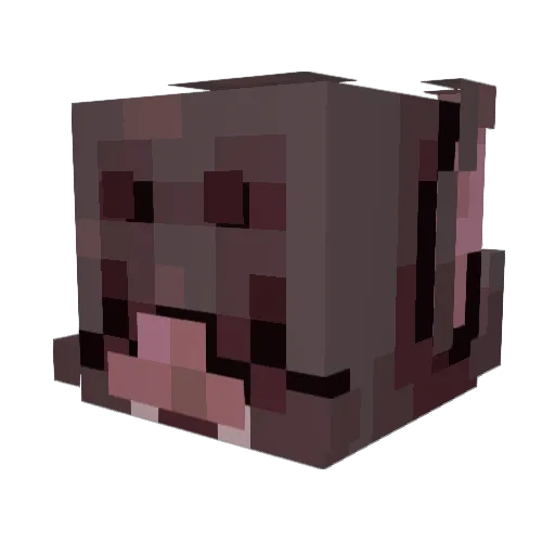 carameltsi Minecraft avatar head, 3D render