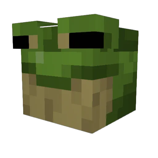 caramfibio Minecraft avatar head, 3D render