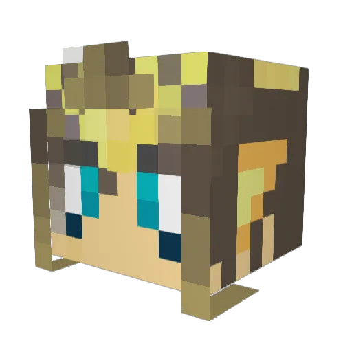 caran_ Minecraft avatar head, 3D render