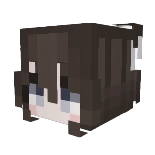 carbell432 Minecraft avatar head, 3D render