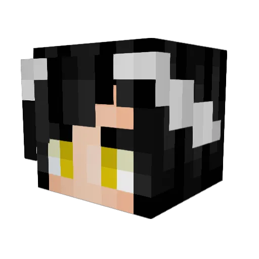 carbonatter Minecraft avatar head, 3D render