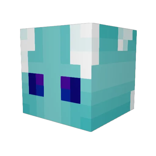 carbonf1sh Minecraft avatar head, 3D render