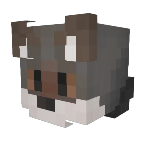 carbonoxide_ Minecraft avatar head, 3D render
