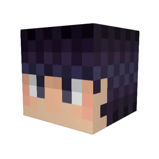 cardJ Minecraft avatar head, 3D render