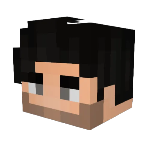 cardiologista Minecraft avatar head, 3D render