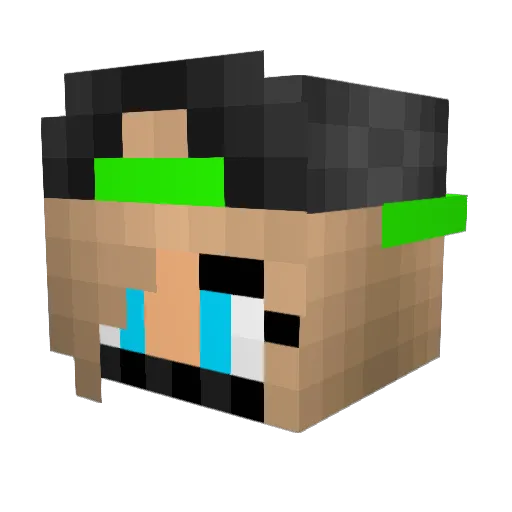 cardog10 Minecraft avatar head, 3D render