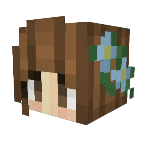 carebear127 Minecraft avatar head, 3D render