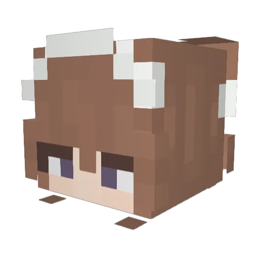 carebear313 Minecraft avatar head, 3D render