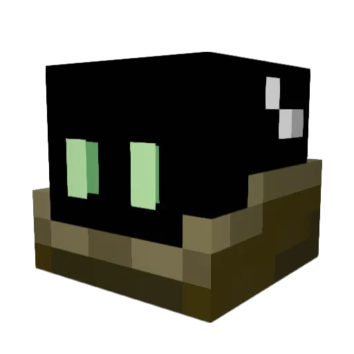 carelessimp53 Minecraft avatar head, 3D render