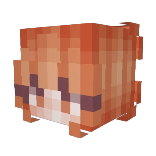 careote Minecraft avatar head, 3D render