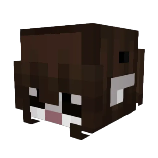 caressings Minecraft avatar head, 3D render