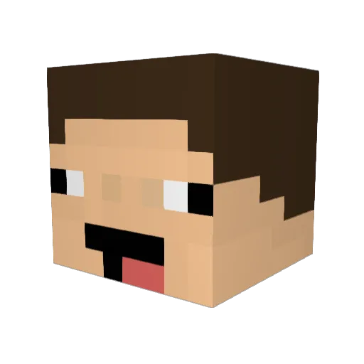 carfly300 Minecraft avatar head, 3D render