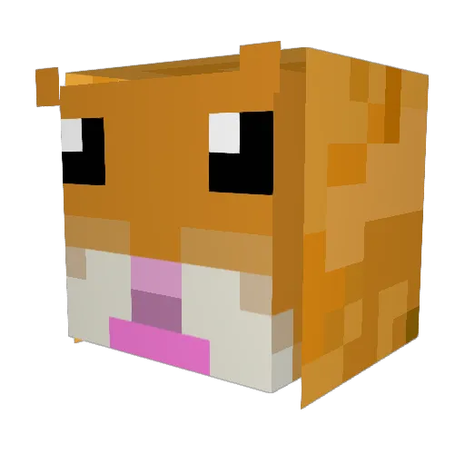 cargamer555 Minecraft avatar head, 3D render
