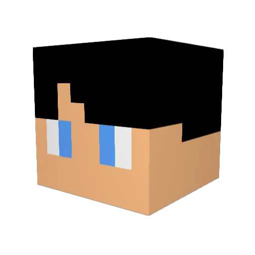 cargo2298 Minecraft avatar head, 3D render