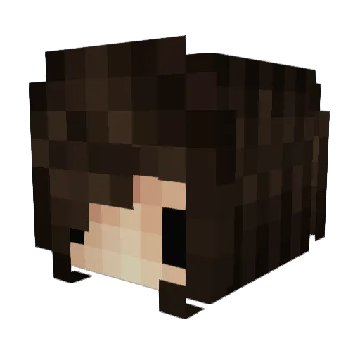 carhuesita Minecraft avatar head, 3D render