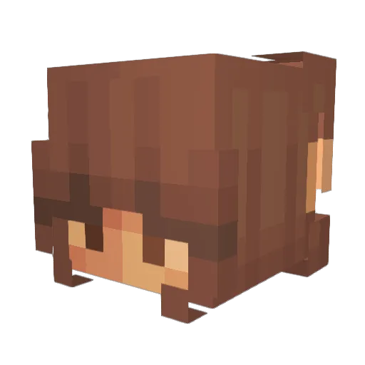 carixsaa Minecraft avatar head, 3D render