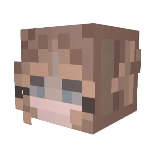 carkachu13 Minecraft avatar head, 3D render
