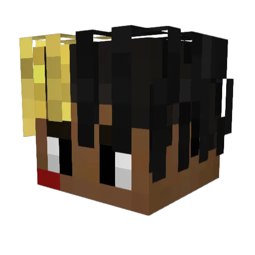 carl_0 Minecraft avatar head, 3D render