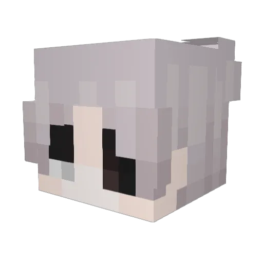 carl_187 Minecraft avatar head, 3D render