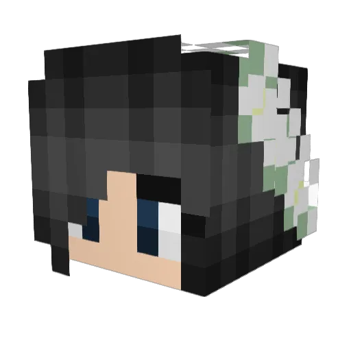 carlaben Minecraft avatar head, 3D render