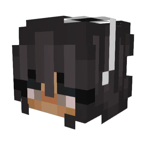 carlein3 Minecraft avatar head, 3D render