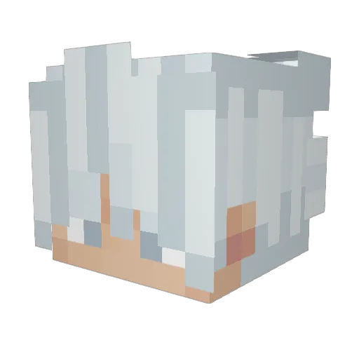 carlin2014 Minecraft avatar head, 3D render