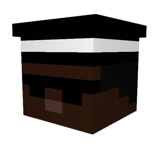 carlos248 Minecraft avatar head, 3D render