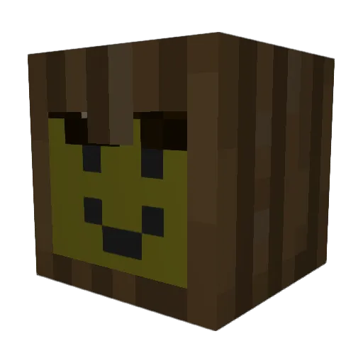 carlosfruitcup Minecraft avatar head, 3D render