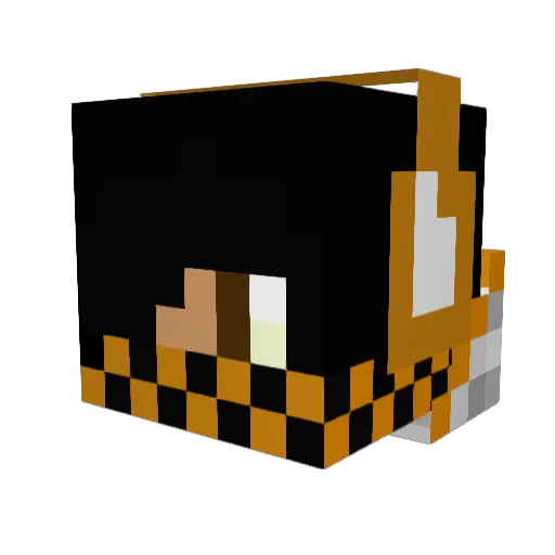 carlosmtz1 Minecraft avatar head, 3D render