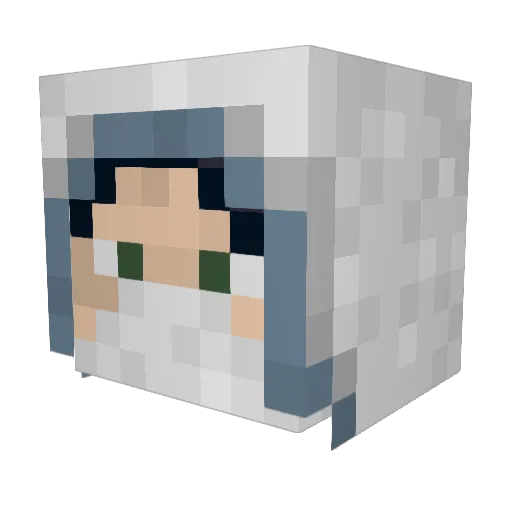 carlossnipe1 Minecraft avatar head, 3D render