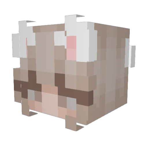 carlott Minecraft avatar head, 3D render