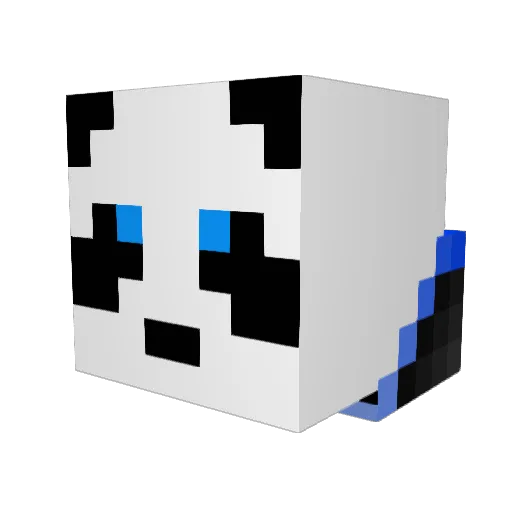 carlslayer101 Minecraft avatar head, 3D render