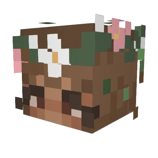 carlycat Minecraft avatar head, 3D render