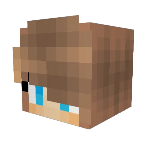carmenw_993 Minecraft avatar head, 3D render