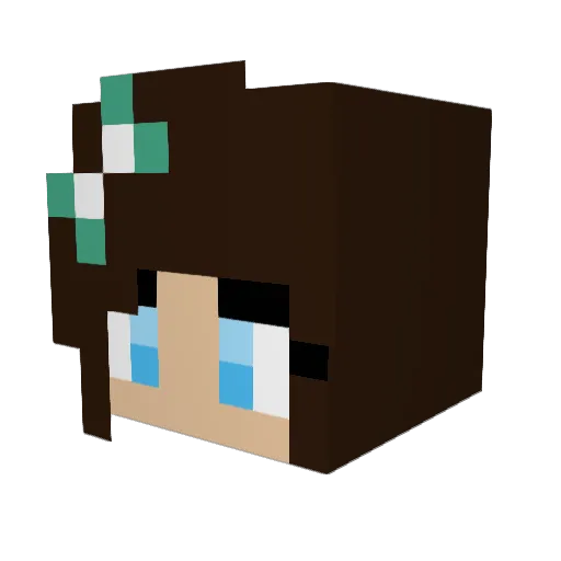 carmody1 Minecraft avatar head, 3D render